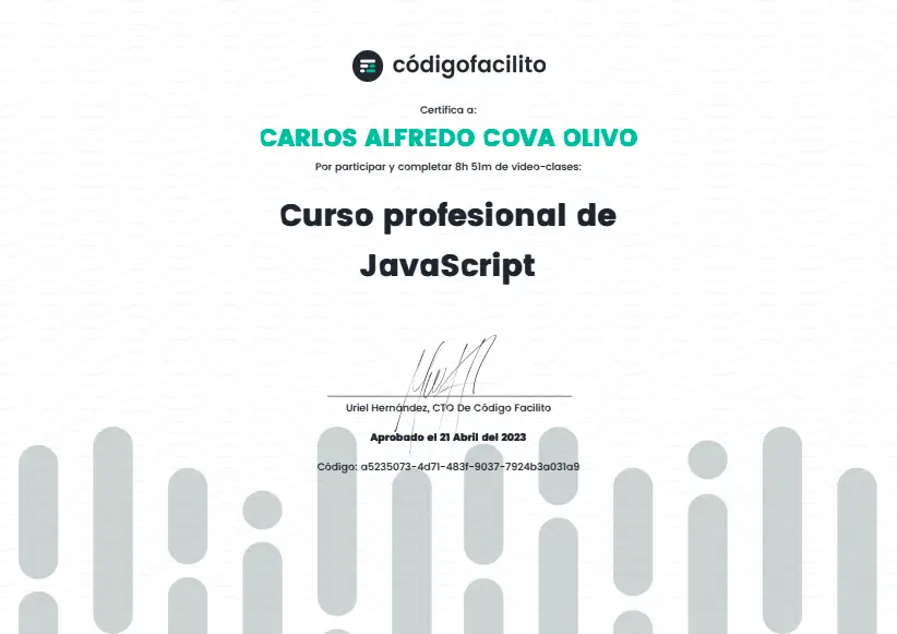 JavaScript pro course certification image