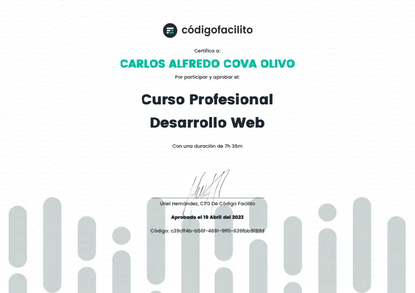 Web development pro course certification image